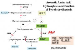 出生缺陷科普系列||不食人间烟火的孩子(上篇)