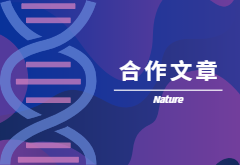 登顶Nature|产量+抗性，鱼和熊掌也可兼得